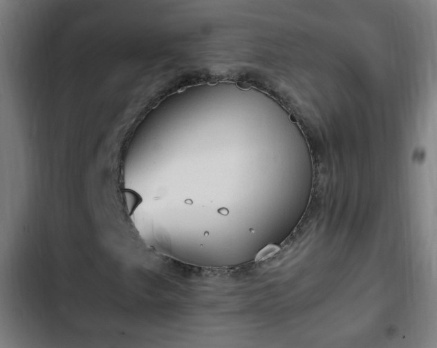 X0000103131249200808291308