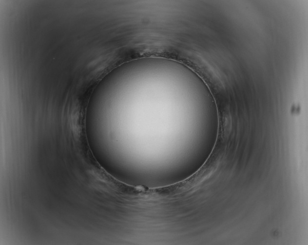 X0000103131250200808291308