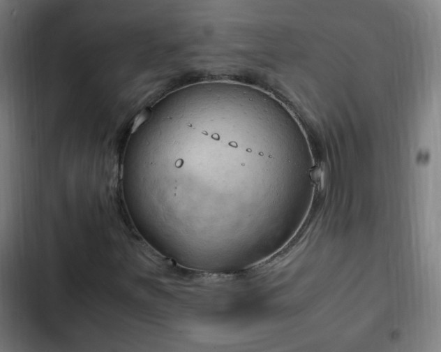 X0000103131251200808291308