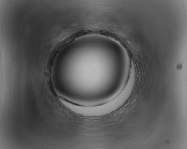 X0000103131253200808291308