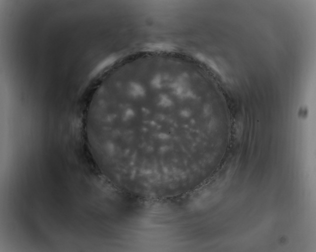 X0000103131254200808291308