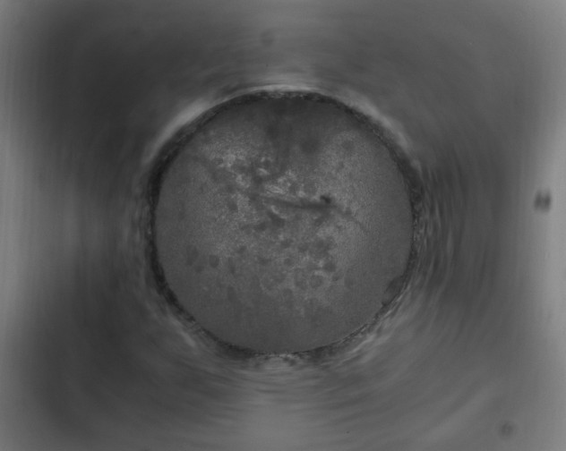 X0000103131255200808291308