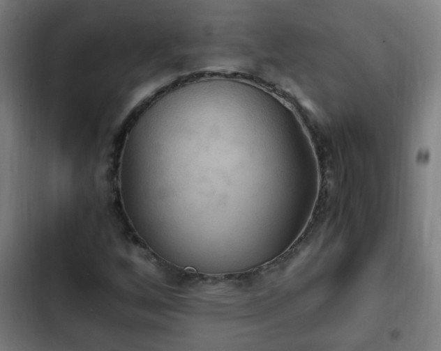 X0000103131256200808291308