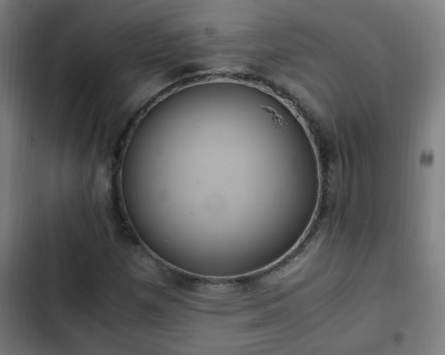 X0000103131257200808291308