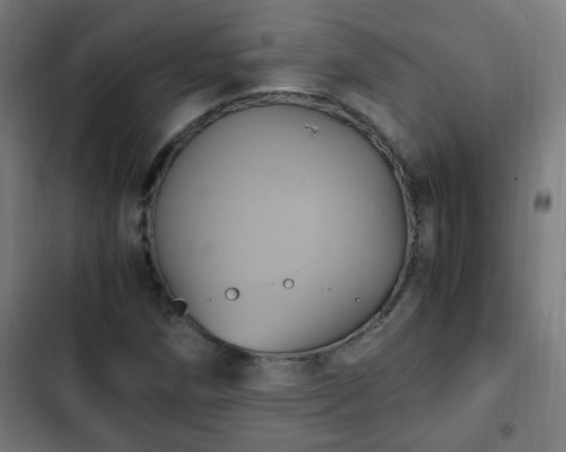 X0000103131258200808291308