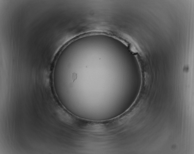 X0000103131260200808291308