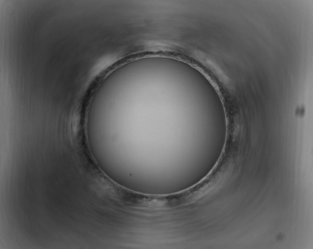 X0000103131261200808291308