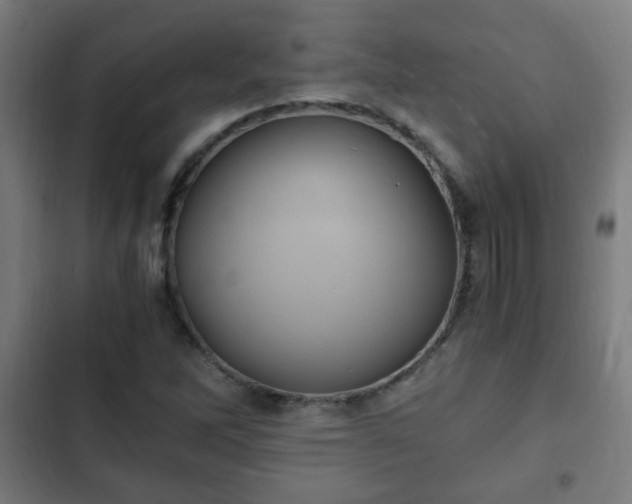 X0000103131262200808291308