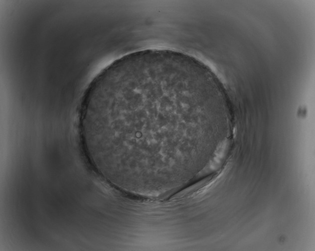 X0000103131263200808291308
