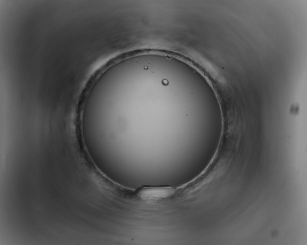 X0000103131264200808291308