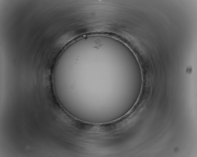 X0000103131265200808291308
