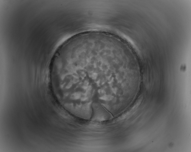 X0000103131267200808291308