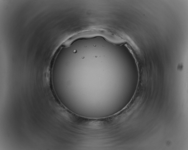 X0000103131268200808291308