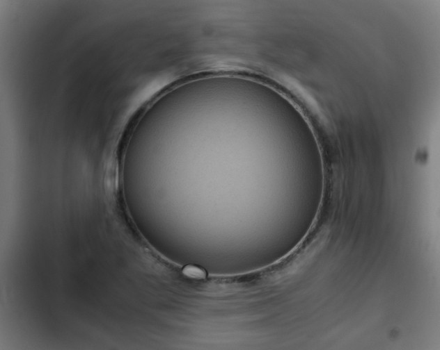 X0000103131269200808291308