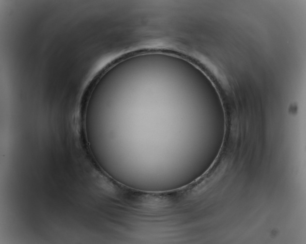 X0000103131270200808291308