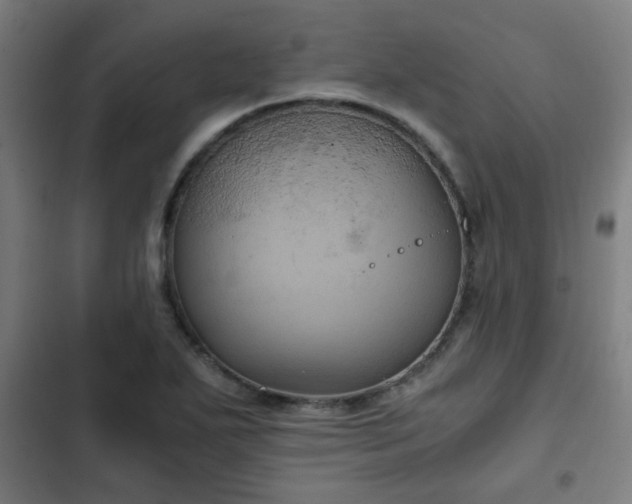 X0000103131271200808291308
