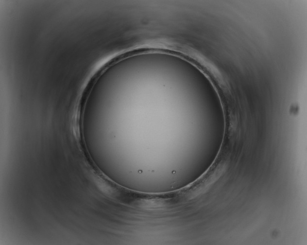 X0000103131272200808291308