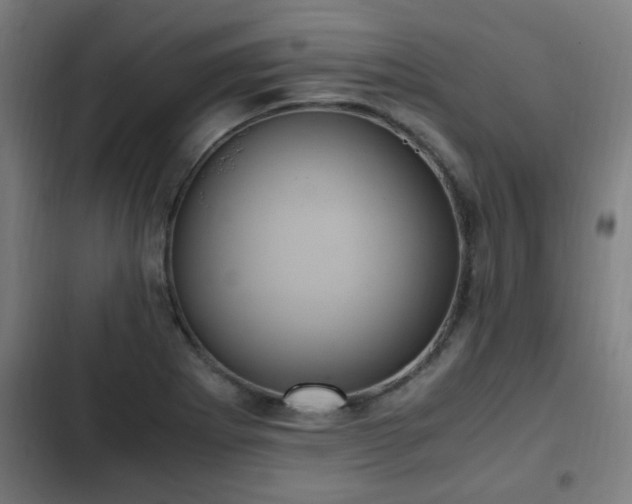 X0000103131273200808291308