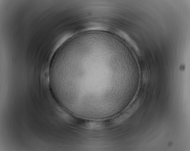 X0000103131274200808291308
