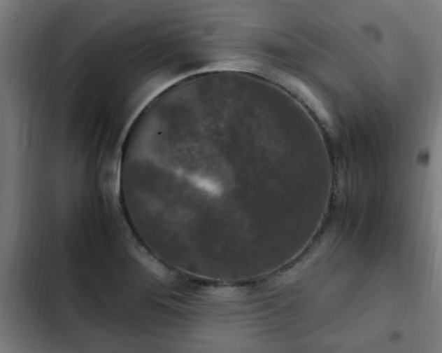 X0000103131276200808291308