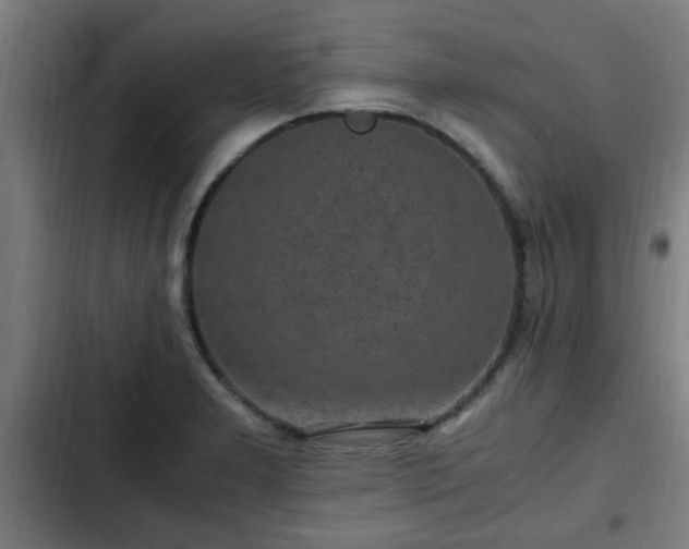 X0000103131277200808291308