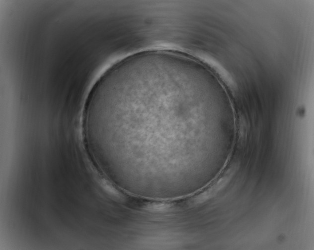 X0000103131278200808291308