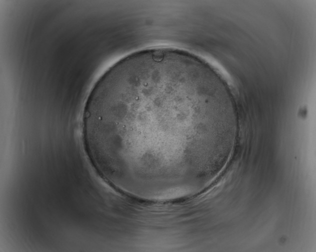 X0000103131279200808291308