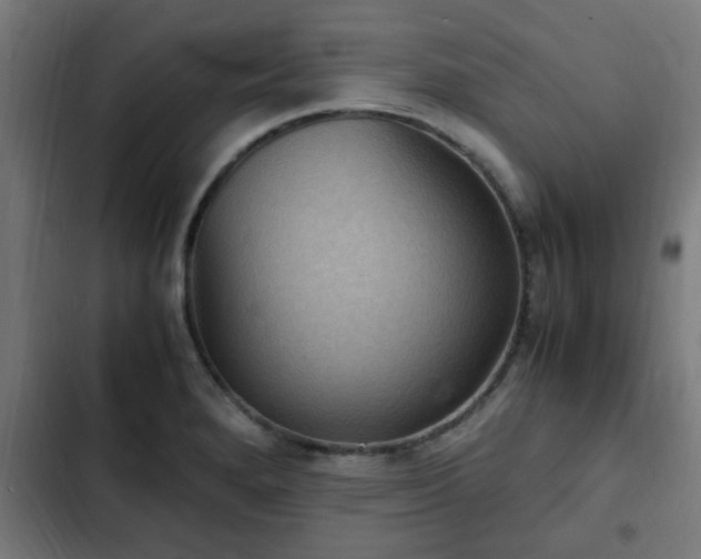 X0000103131280200808291308