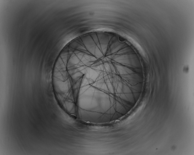 X0000103131281200808291308