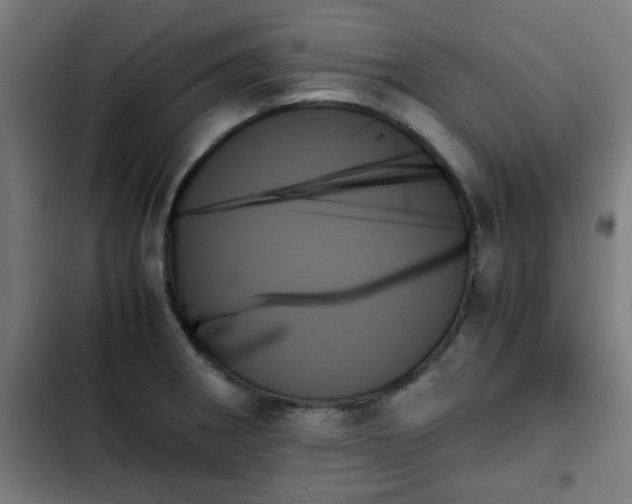 X0000103131282200808291308