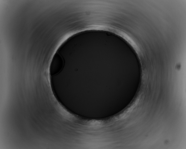 X0000103131283200808291308