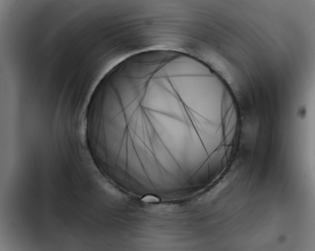 X0000103131284200808291308