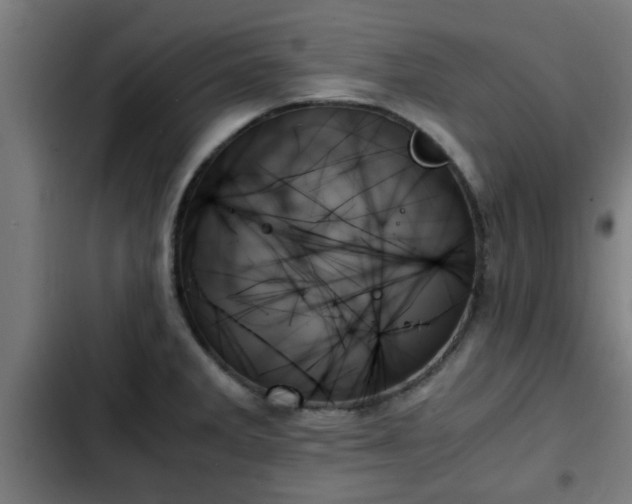 X0000103131285200808291308