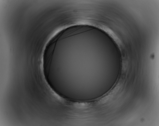X0000103131286200808291308