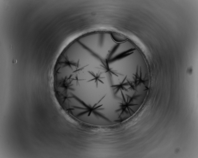 X0000103131287200808291308
