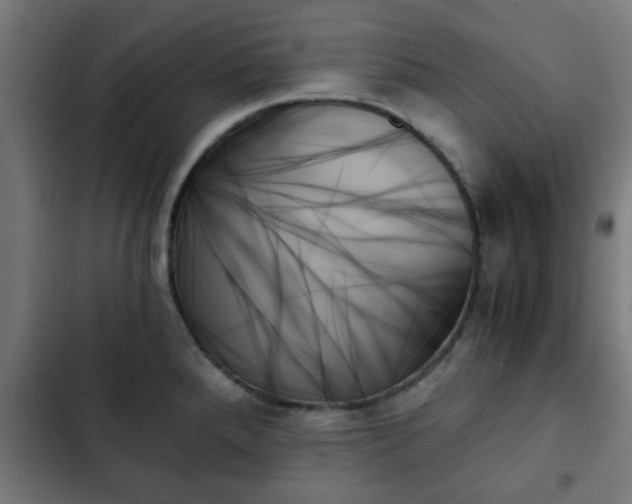X0000103131288200808291308