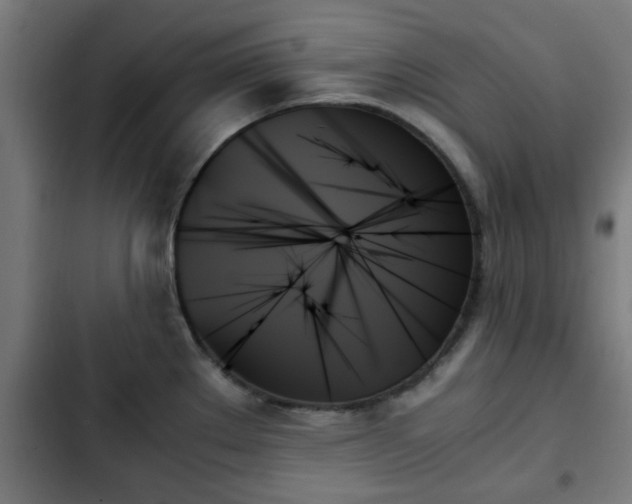 X0000103131289200808291308