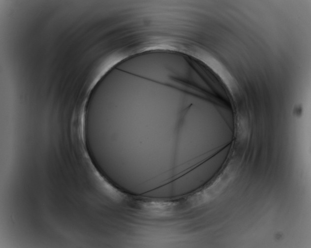 X0000103131290200808291308