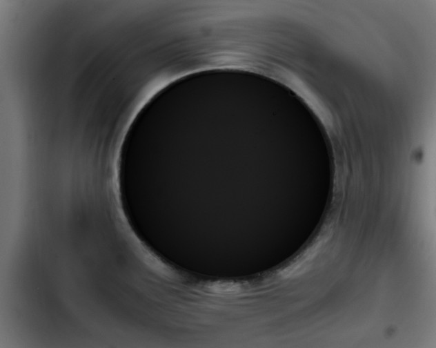 X0000103131291200808291308