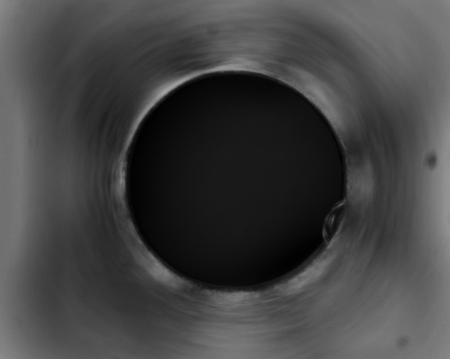 X0000103131292200808291307