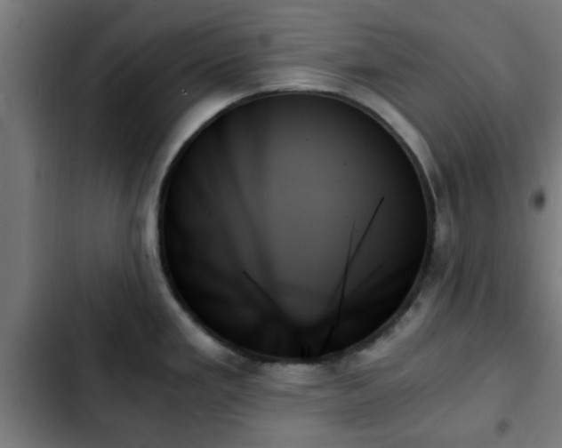 X0000103131293200808291307