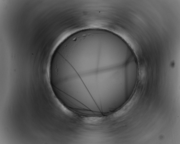X0000103131294200808291307