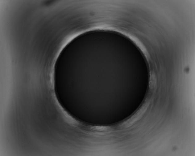 X0000103131295200808291307