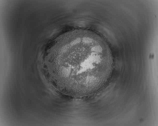 X0000103131297200808291307