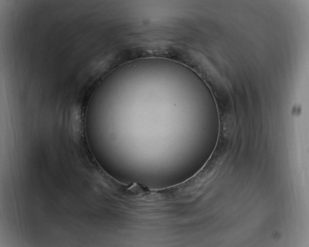 X0000103131298200808291307