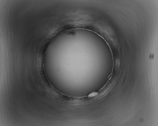 X0000103131300200808291307