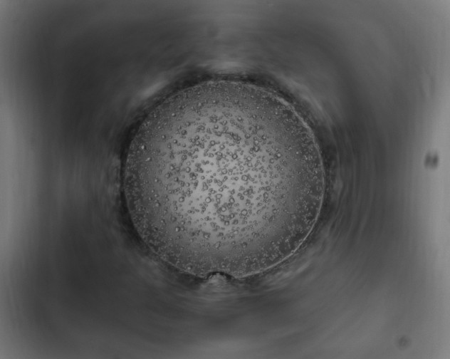 X0000103131301200808291307