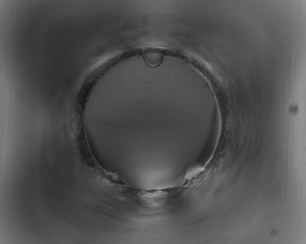 X0000103131303200808291307