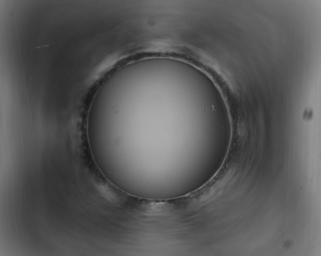 X0000103131304200808291307