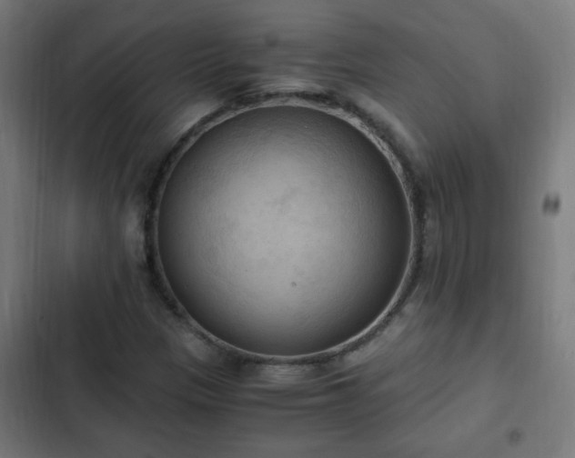 X0000103131305200808291307